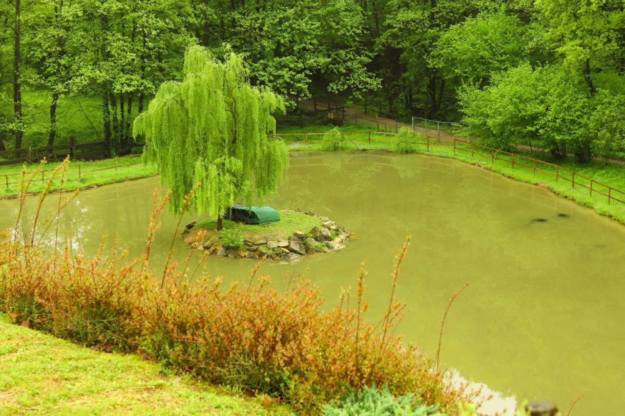 Agriturismo Grammelot Sarnico Ngoại thất bức ảnh